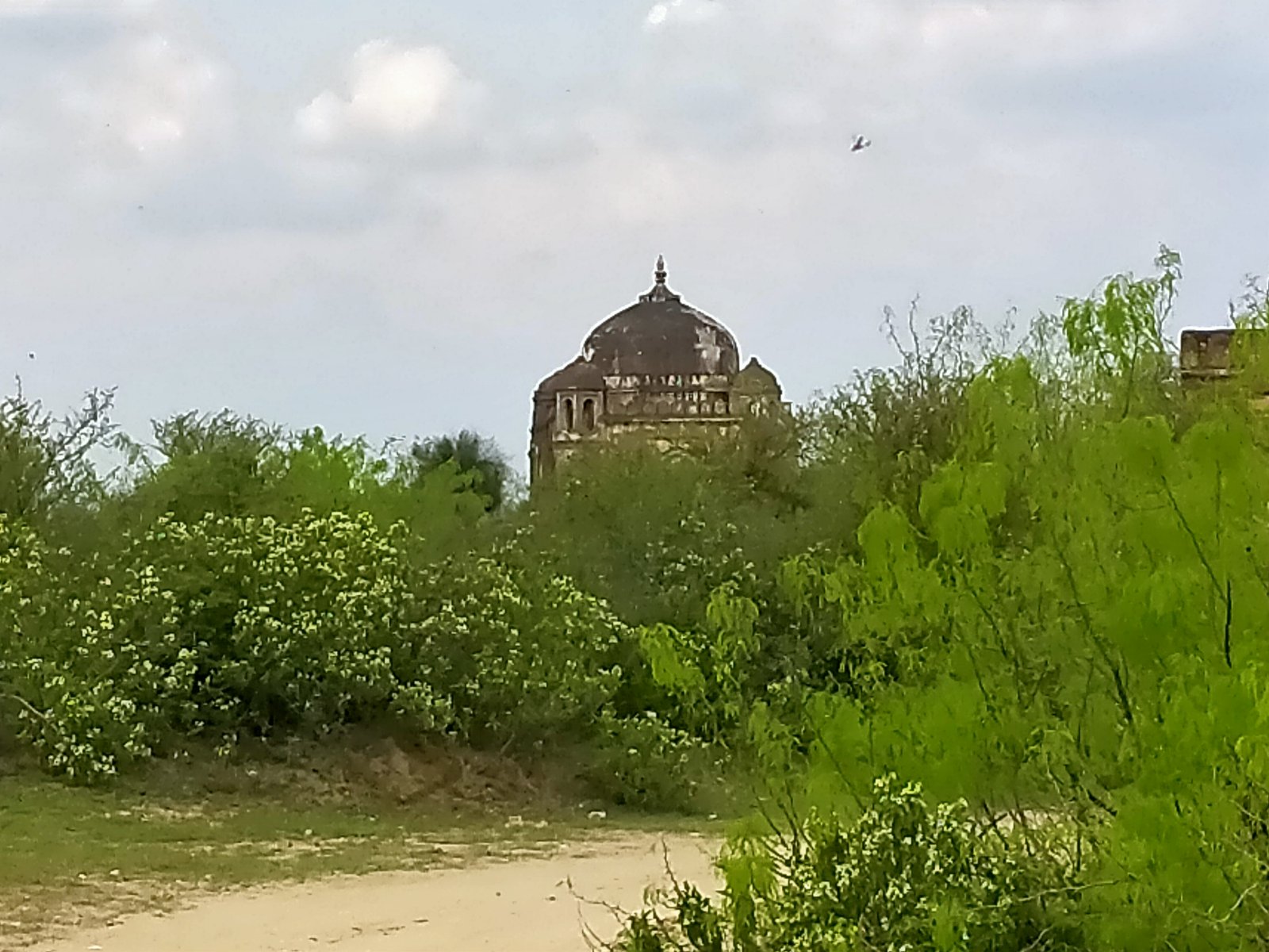 Travel Photo